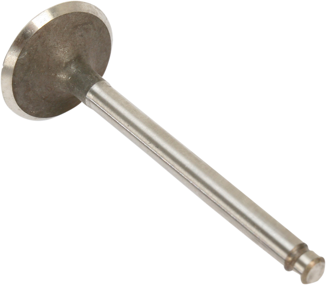 Intake Valve