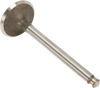 Intake Valve