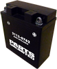 AGM Battery - CTX5AL-BS