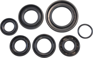 Oil Seal Kit