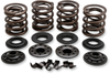 Valve Spring Kit