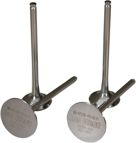 Exhaust Valves