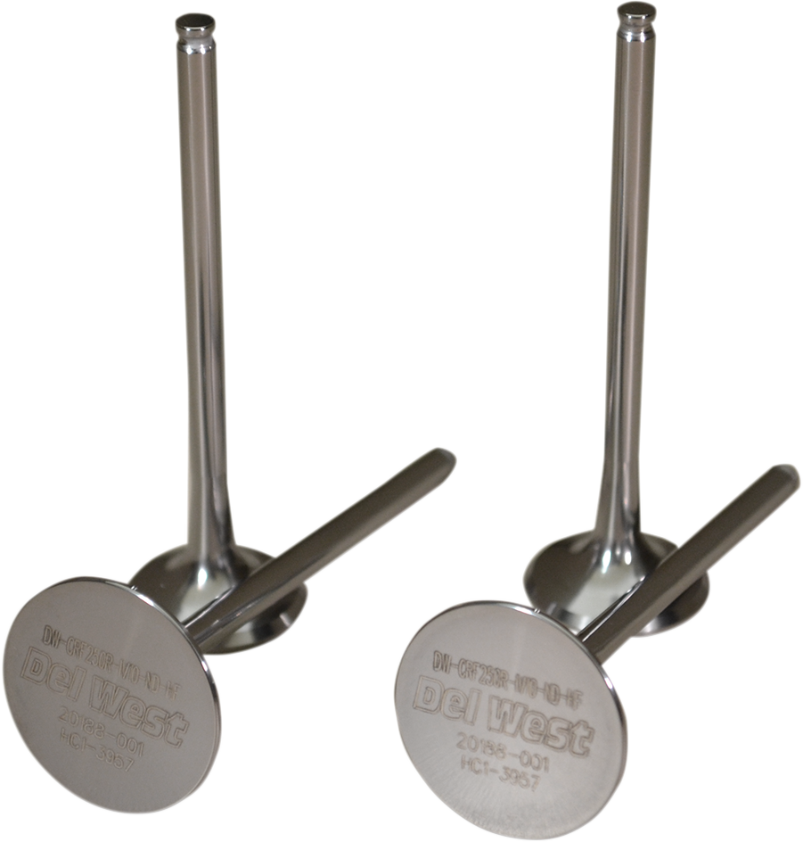 Intake Valves