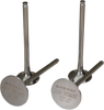 Intake Valves