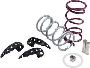 Clutch Kit - RZR XP Turbo