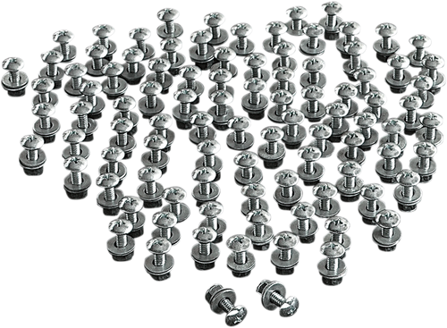 License Plate Bolts - 100PK