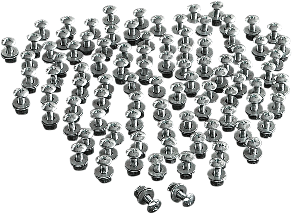 License Plate Bolts - 100PK