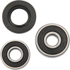 Wheel Bearing Kit - Rear