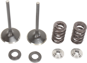 Intake Valve Kit