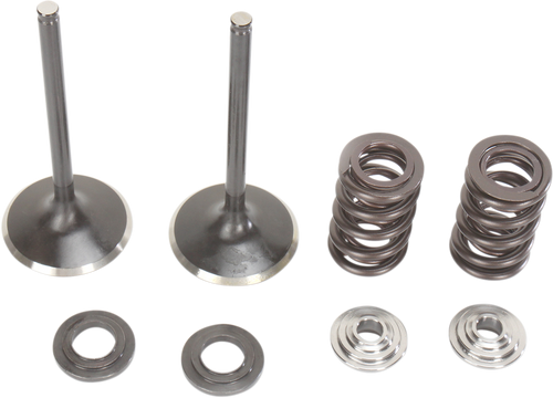 Intake Valve Kit