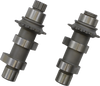 Conversion Camshaft