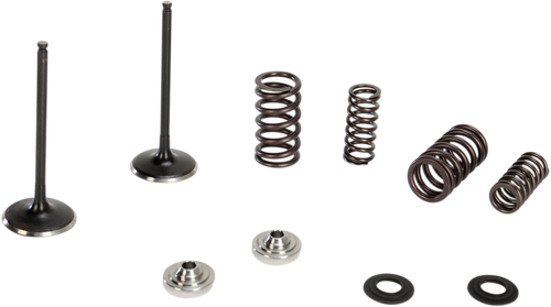 Intake Valve Kit