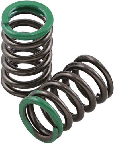 Valve Springs - Intake - Honda