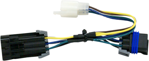 6-Pin Molex Wiring Harness