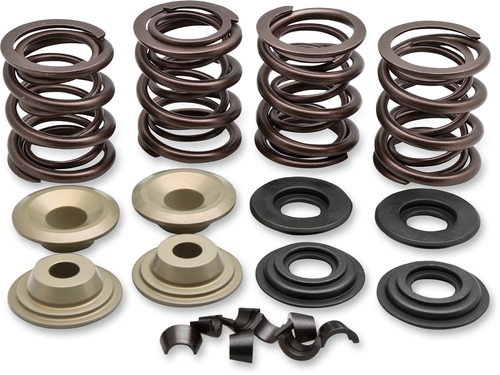 Valve Spring Kit