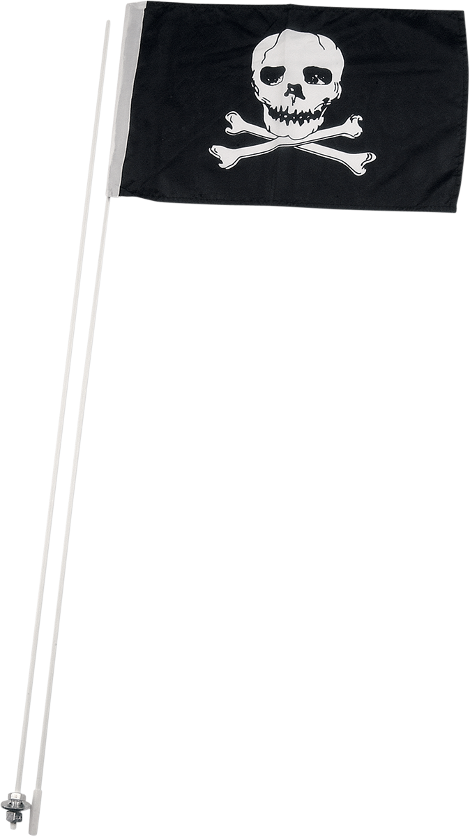 Flag Pole and Mount - With 12 X 19