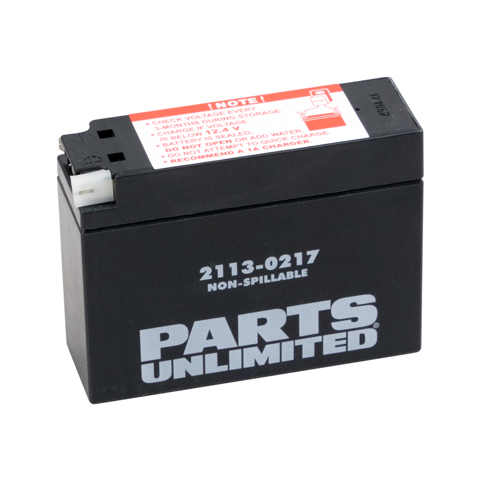 AGM Battery - YT4B-BS