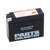 AGM Battery - YT4B-BS