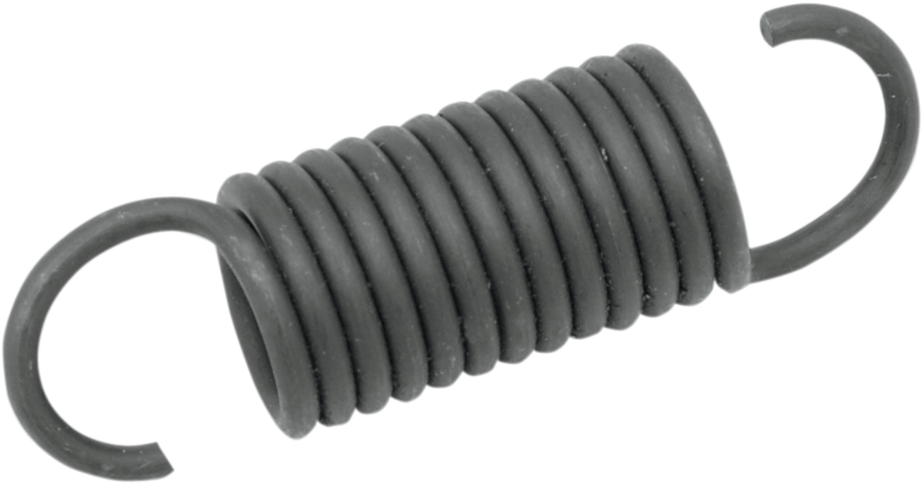 Exhaust Springs - 10 Pack