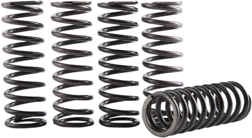 Clutch Spring Kit