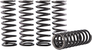 Clutch Spring Kit