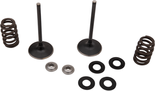 Intake Valve Kit