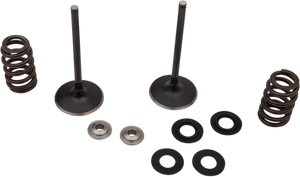 Intake Valve Kit