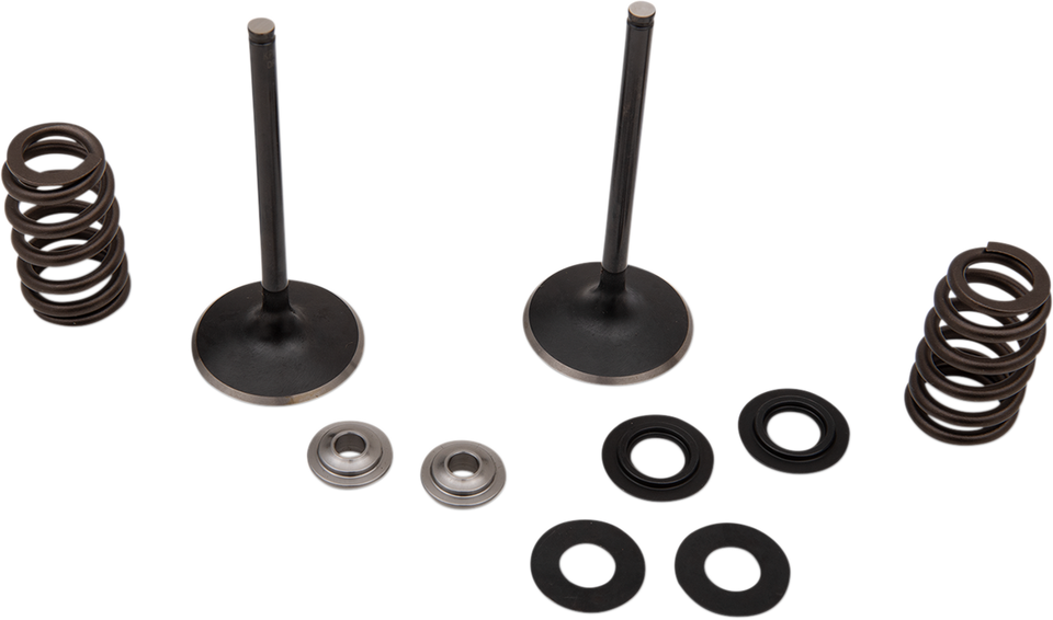 Intake Valve Kit