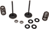 Intake Valve Kit