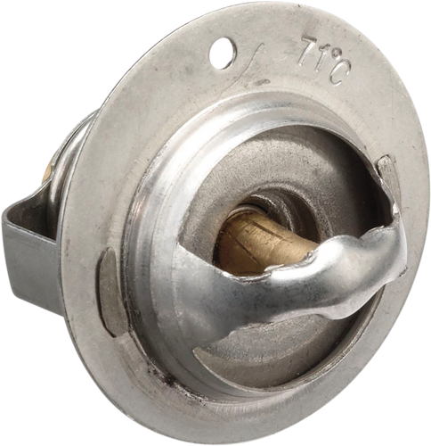 Replacement Thermostat - Polaris