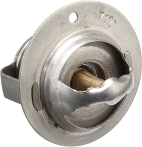 Replacement Thermostat - Polaris