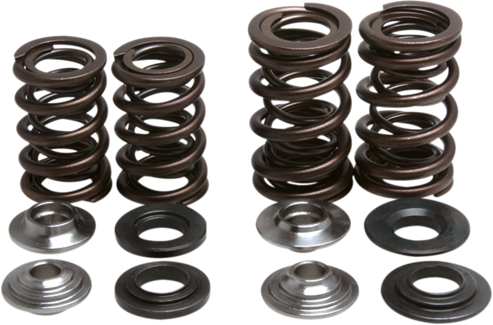 Valve Spring Kit