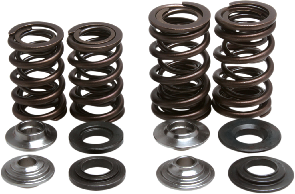 Valve Spring Kit