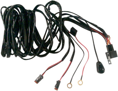Wiring Harness with Switch