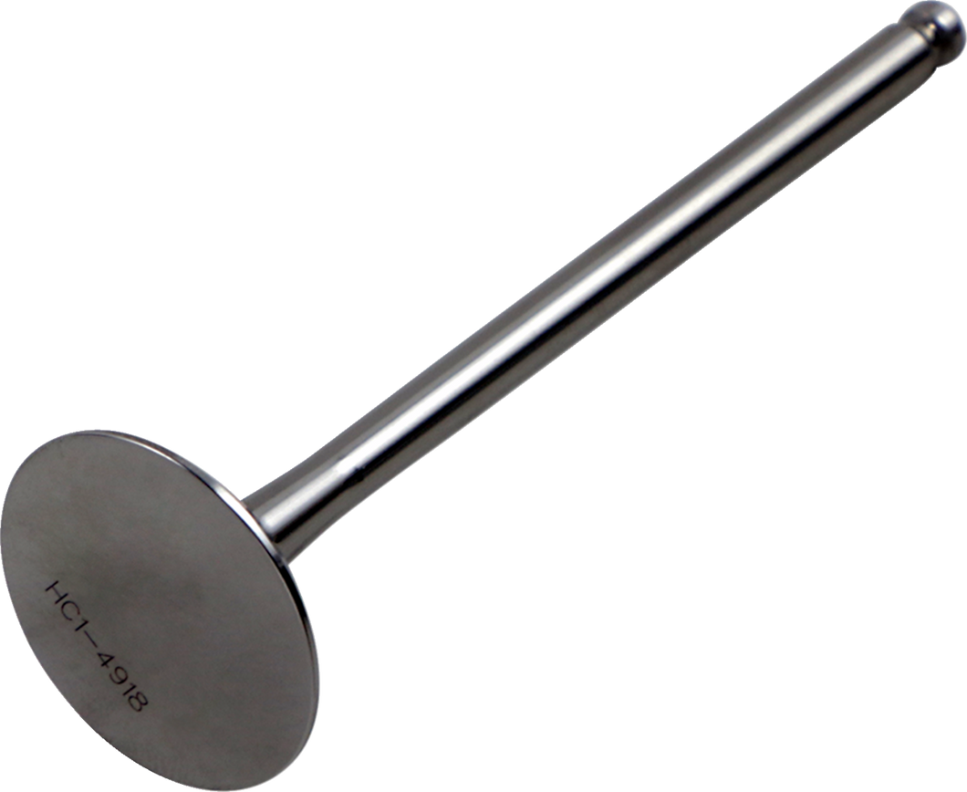 Exhaust Valve