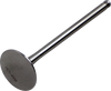 Exhaust Valve