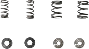 Valve Spring Kit