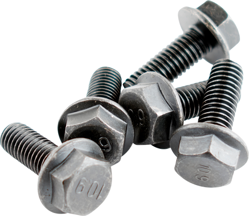 Speed Sensor Magnet Bolt - Pack of Six