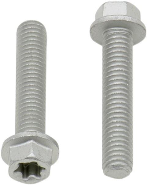 Bolt - European - M6 x 30 - 10-Pack