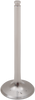 Exhaust Valve