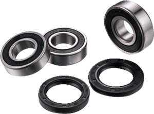 Wheel Bearing Kit - Rear