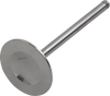 Intake Valve