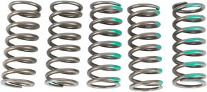 Clutch Springs - KX 450F