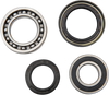 Wheel Bearing Kit - Rear - Yamaha