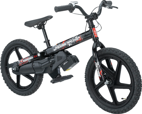 RS-16 E-Bike - Agroid - Balance