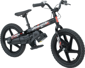 RS-16 E-Bike - Agroid - Balance