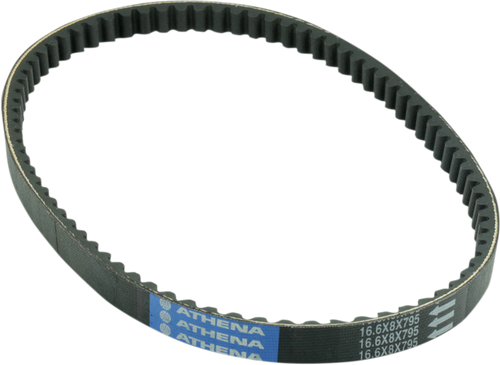 Transmission Belt