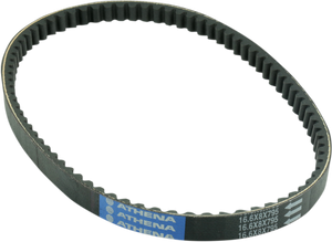 Transmission Belt