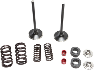 Intake Valve Kit