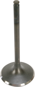 Intake Valve